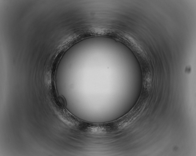 X0000100320500200806121107