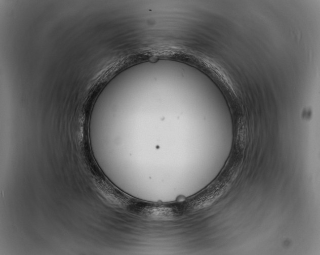 X0000100320501200806121107