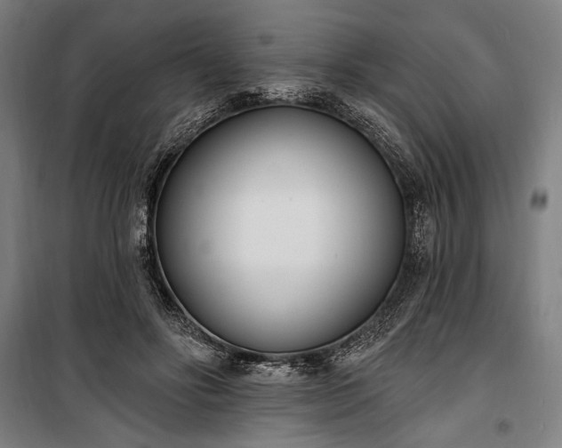 X0000100320502200806121107