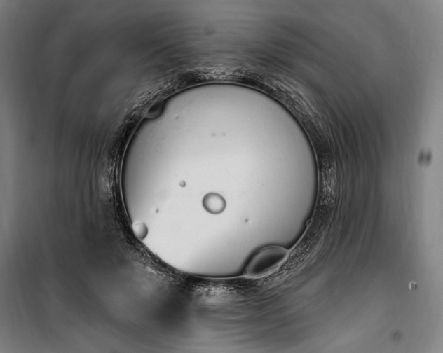 X0000100320503200806121107