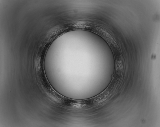 X0000100320504200806121107