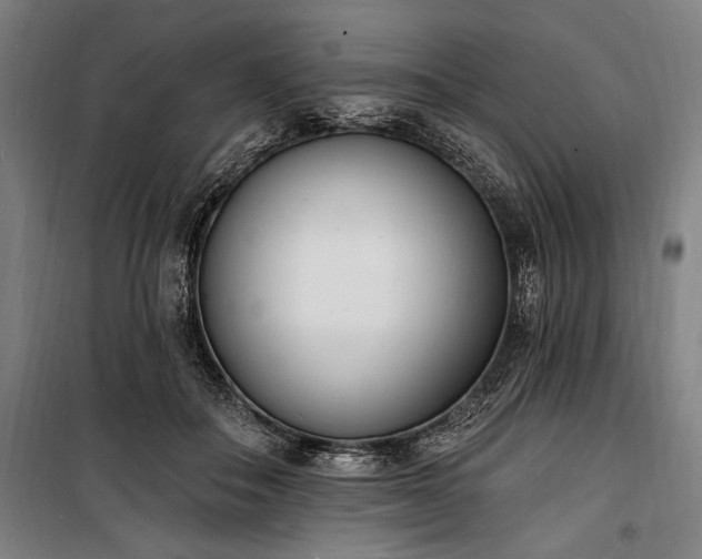 X0000100320506200806121107