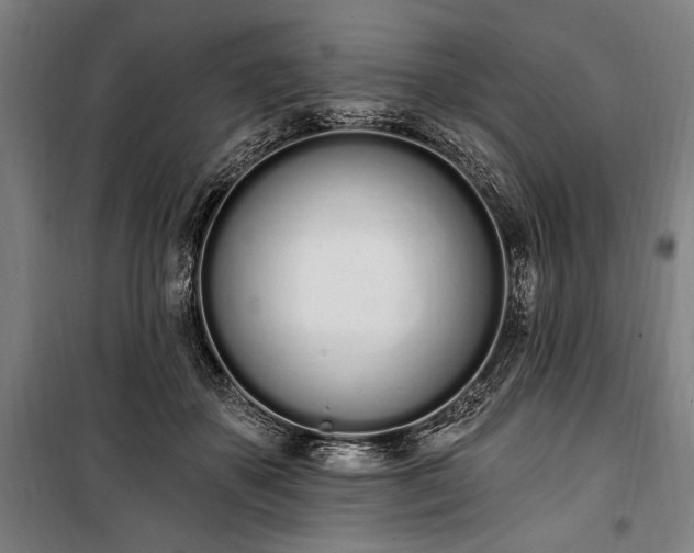 X0000100320507200806121107