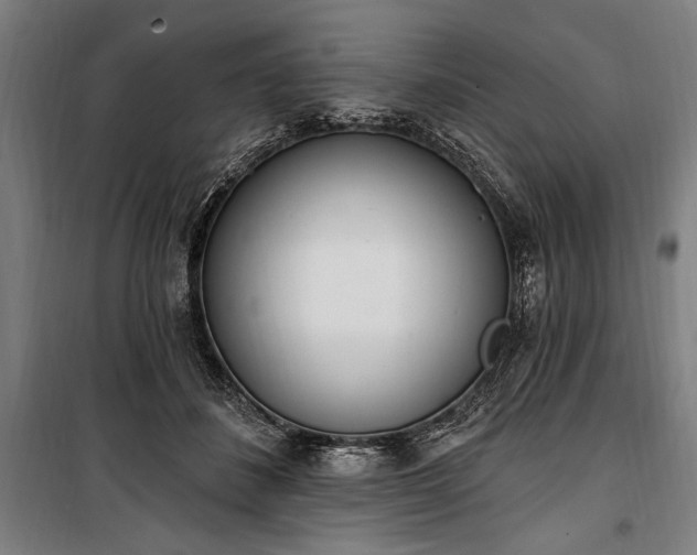 X0000100320508200806121107