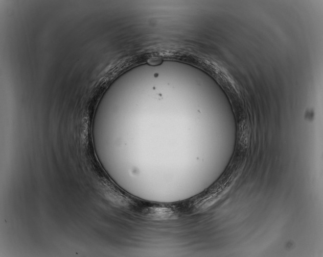 X0000100320509200806121107