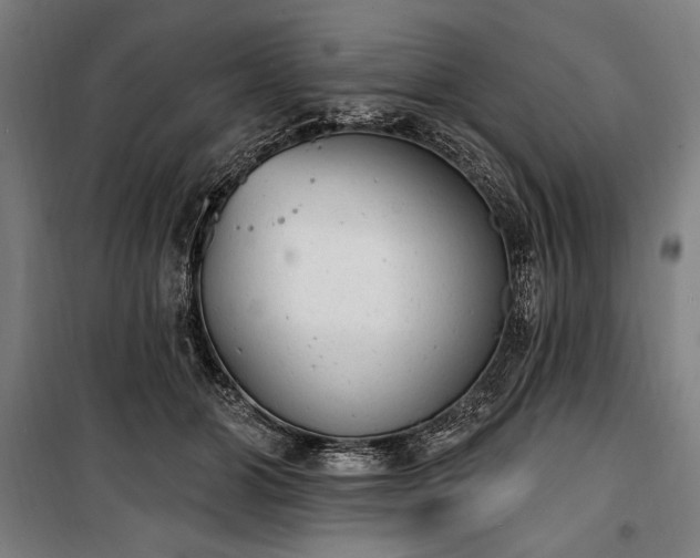 X0000100320510200806121107