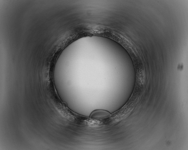 X0000100320512200806121107