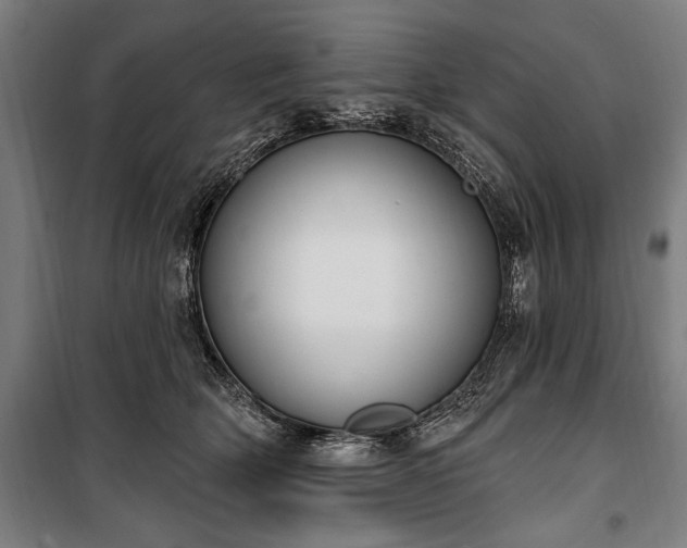 X0000100320514200806121107