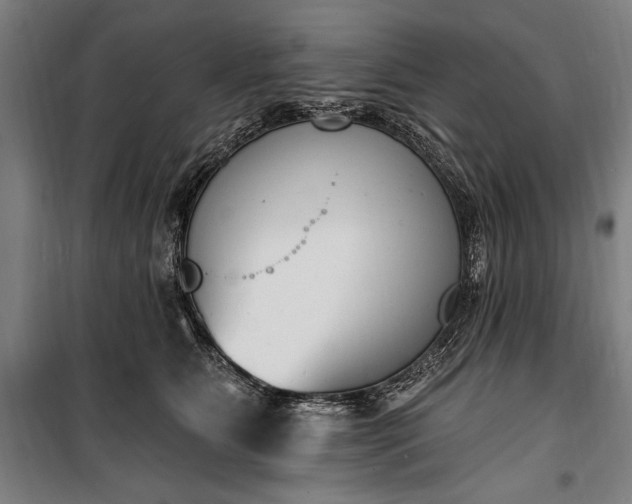 X0000100320515200806121107