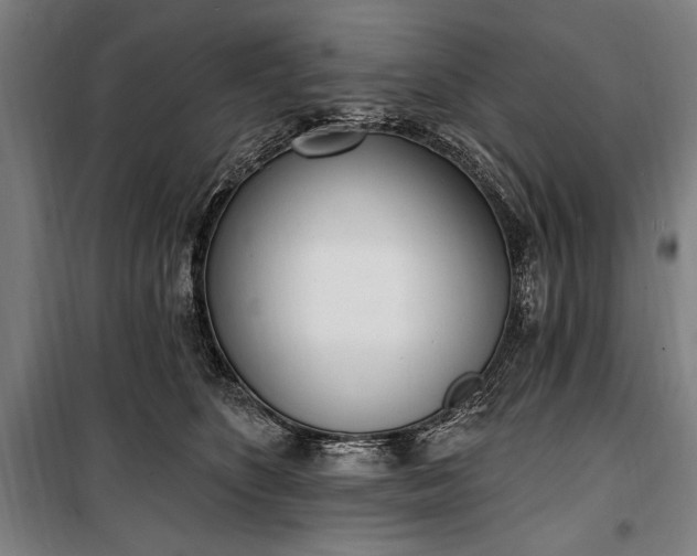 X0000100320516200806121107