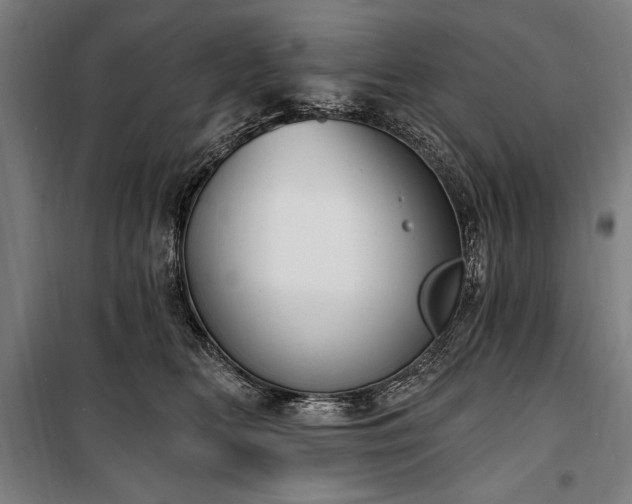 X0000100320518200806121107