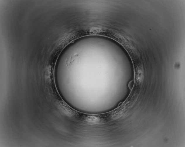 X0000100320519200806121107