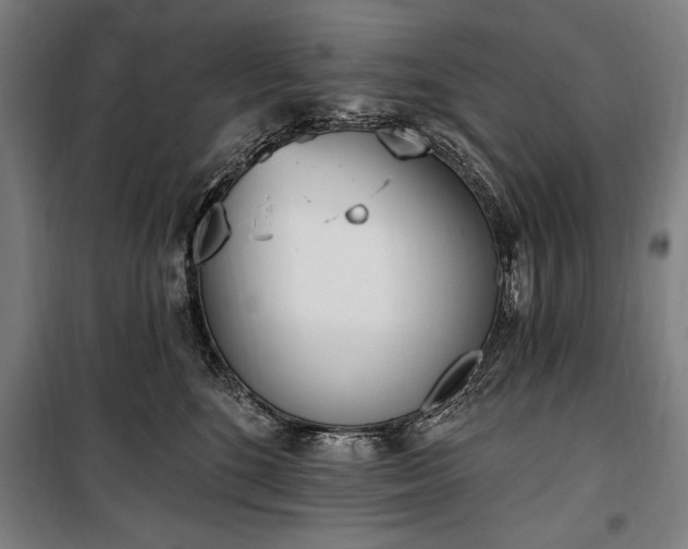 X0000100320520200806121107