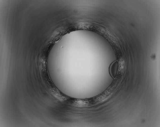 X0000100320522200806121107