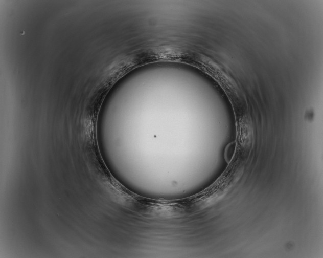 X0000100320523200806121107