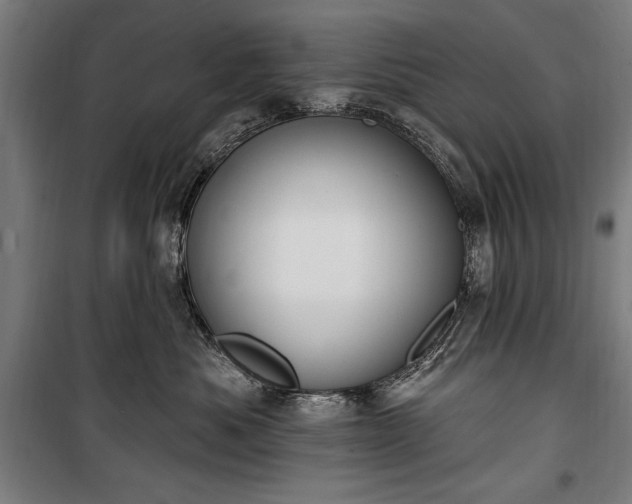 X0000100320525200806121107