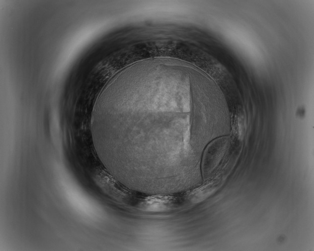 X0000100320526200806121107