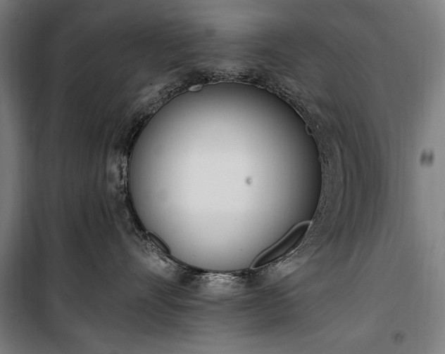 X0000100320528200806121107