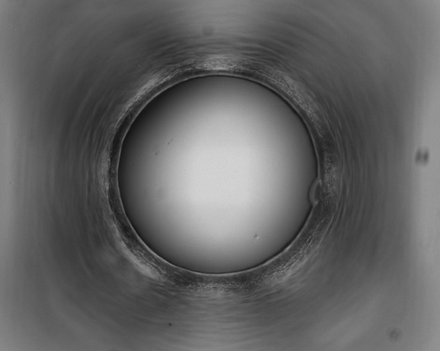 X0000100320530200806121106