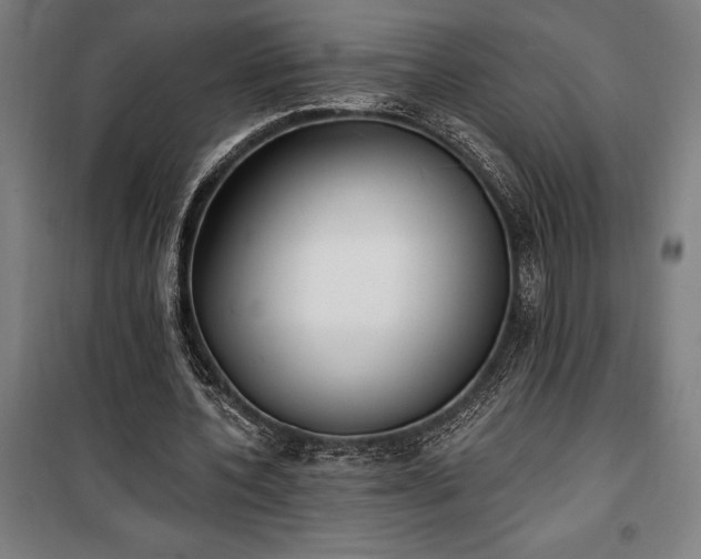 X0000100320532200806121106