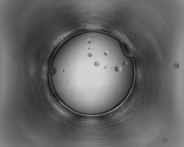 X0000100320533200806121106