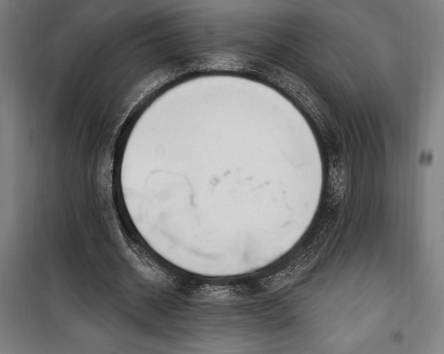 X0000100320534200806121106