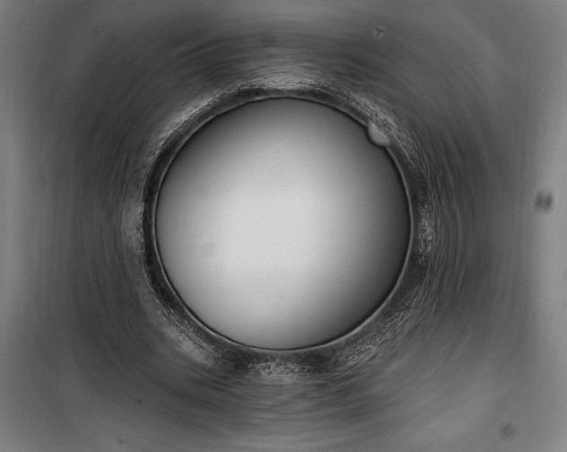 X0000100320535200806121106