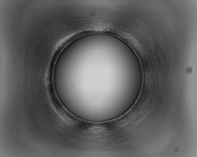 X0000100320536200806121106