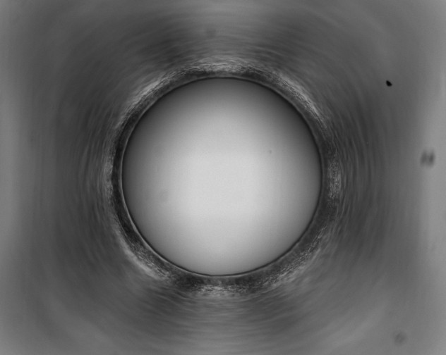 X0000100320538200806121106