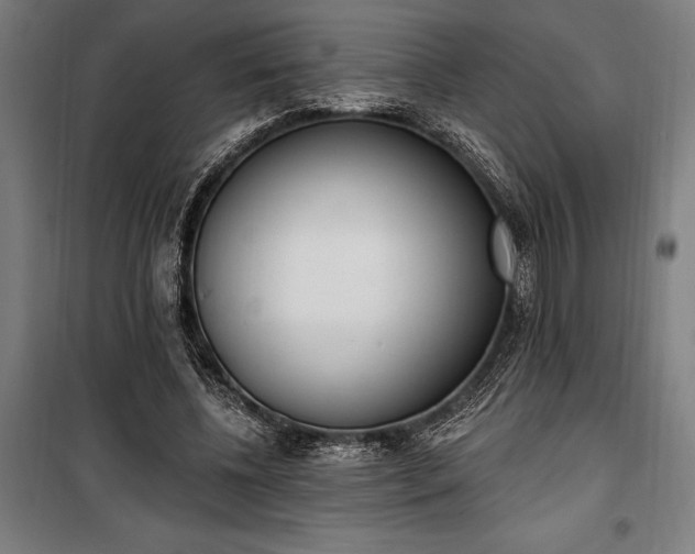 X0000100320540200806121106