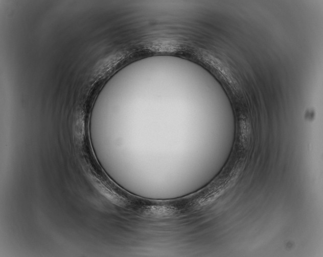 X0000100320541200806121106