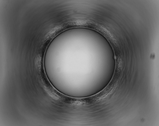 X0000100320542200806121106