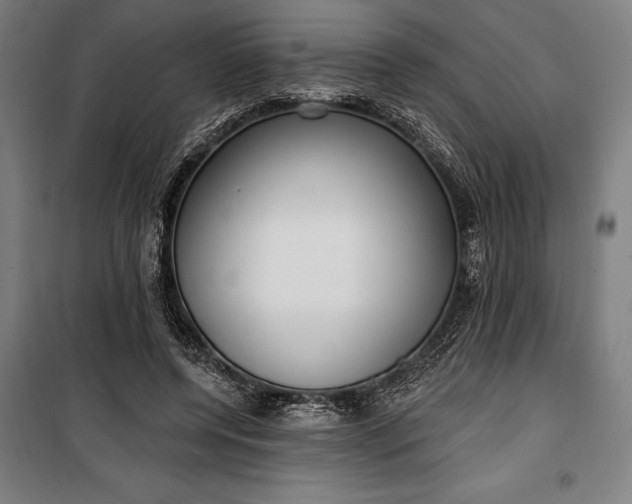 X0000100320544200806121106