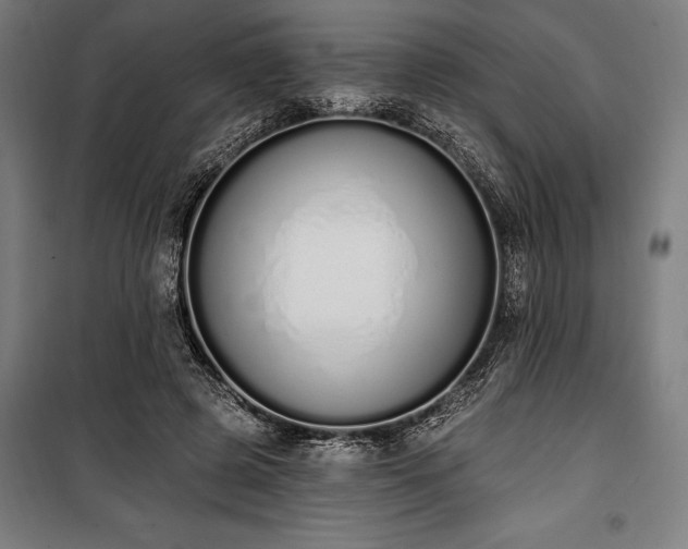 X0000100320545200806121106