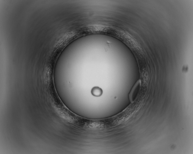 X0000100320546200806121106