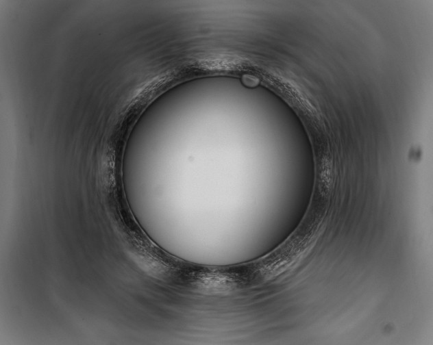 X0000100320547200806121106