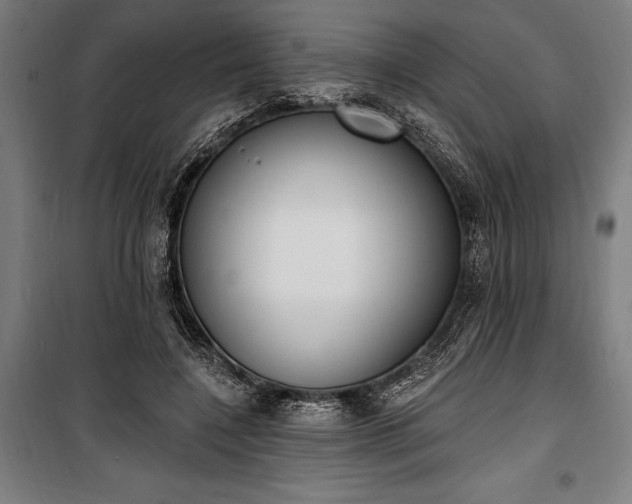 X0000100320548200806121106