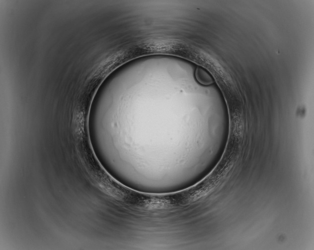 X0000100320549200806121106