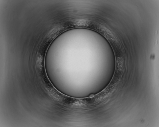 X0000100320550200806121106