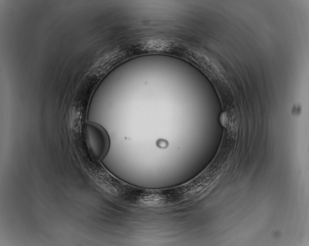 X0000100320551200806121106