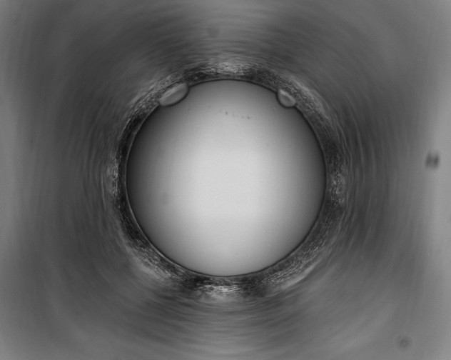 X0000100320552200806121106