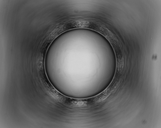 X0000100320553200806121106