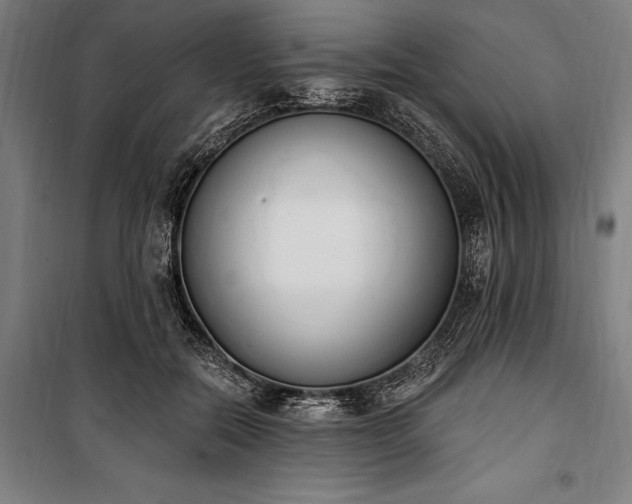 X0000100320554200806121106