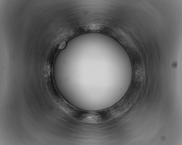 X0000100320555200806121106