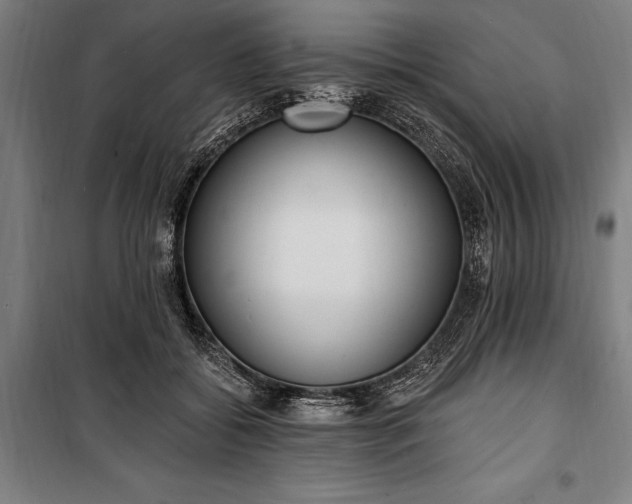 X0000100320556200806121107