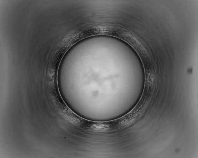 X0000100320557200806121107