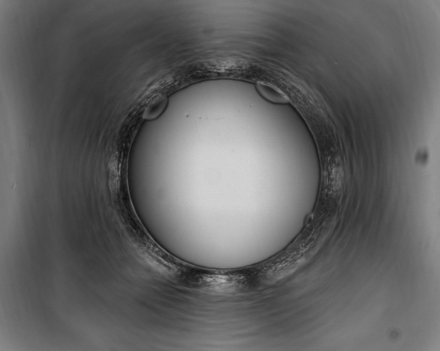 X0000100320558200806121107