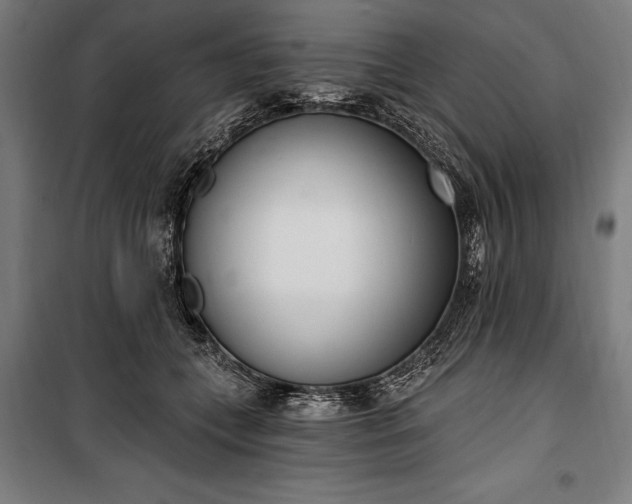 X0000100320559200806121107