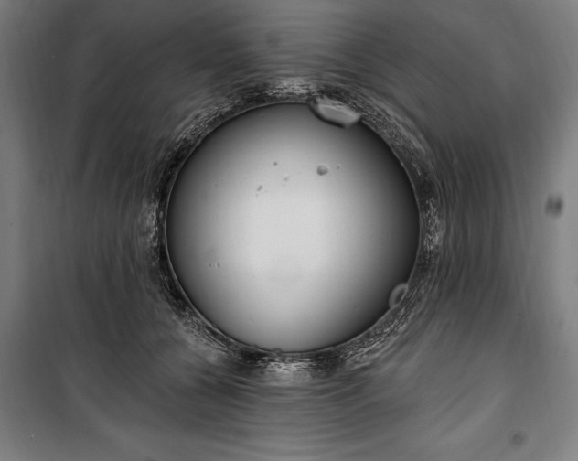 X0000100320560200806121107