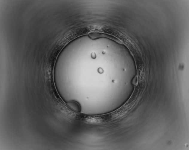 X0000100320561200806121107